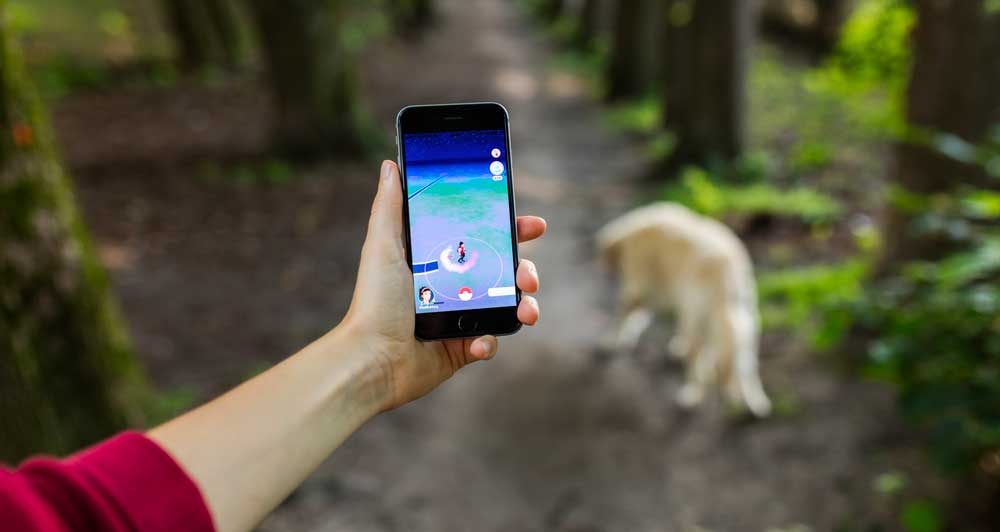 Comment bien choisir un collier GPS pour son chien ? - Nos conseils et  astuces