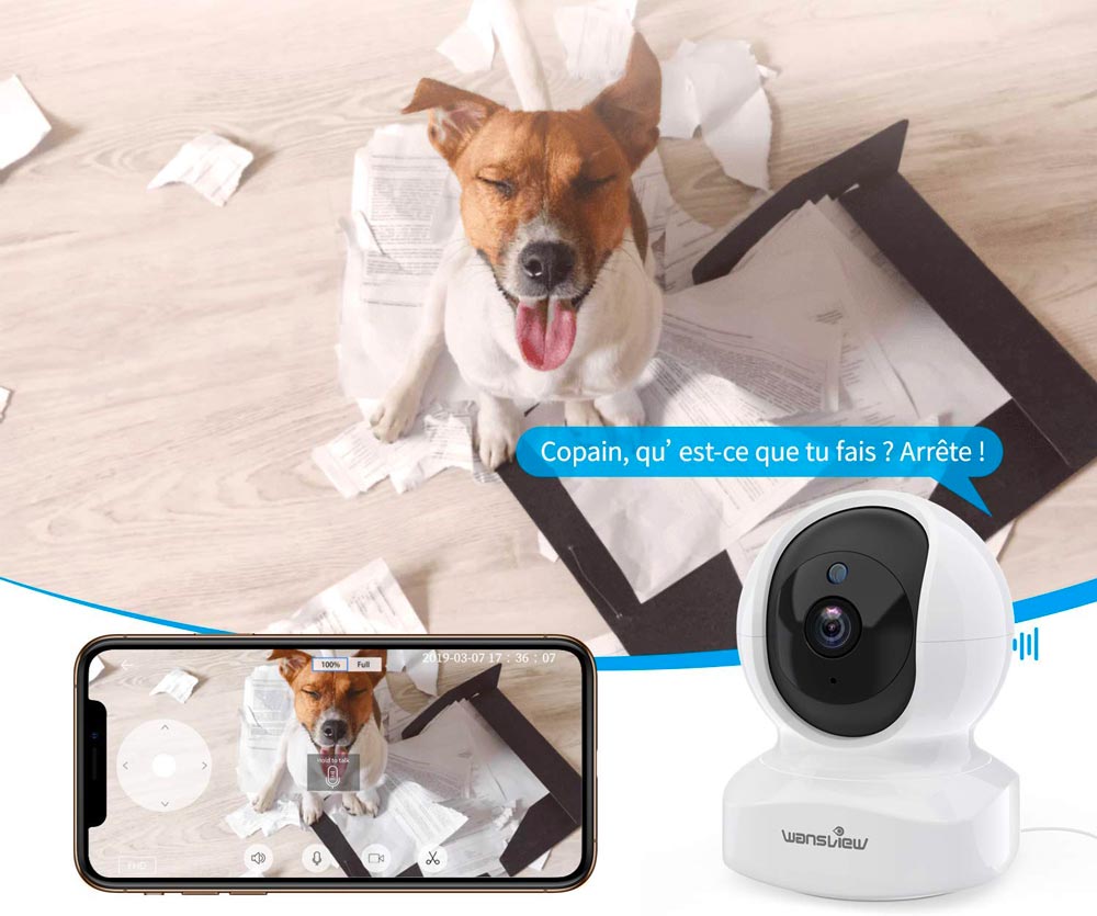 Caméra de surveillance pour chien et chat